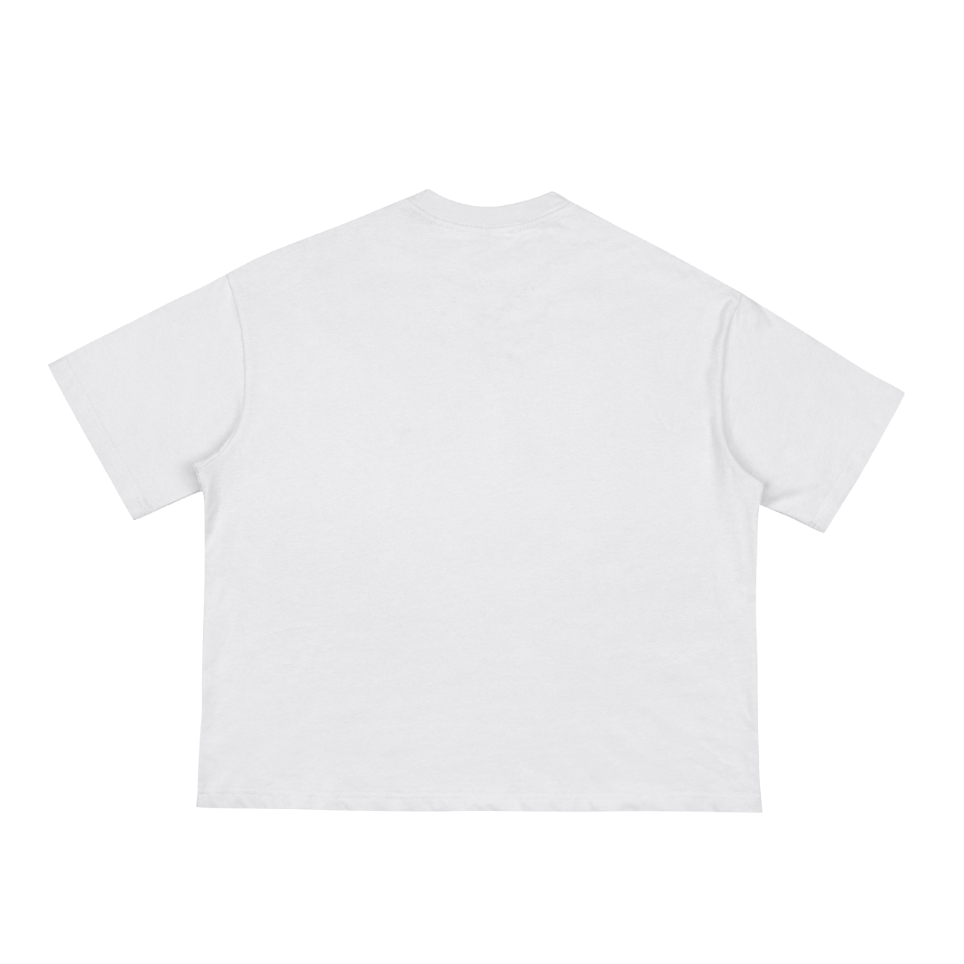 Boxy Cropped Tee (White) | St. George and the Dragon