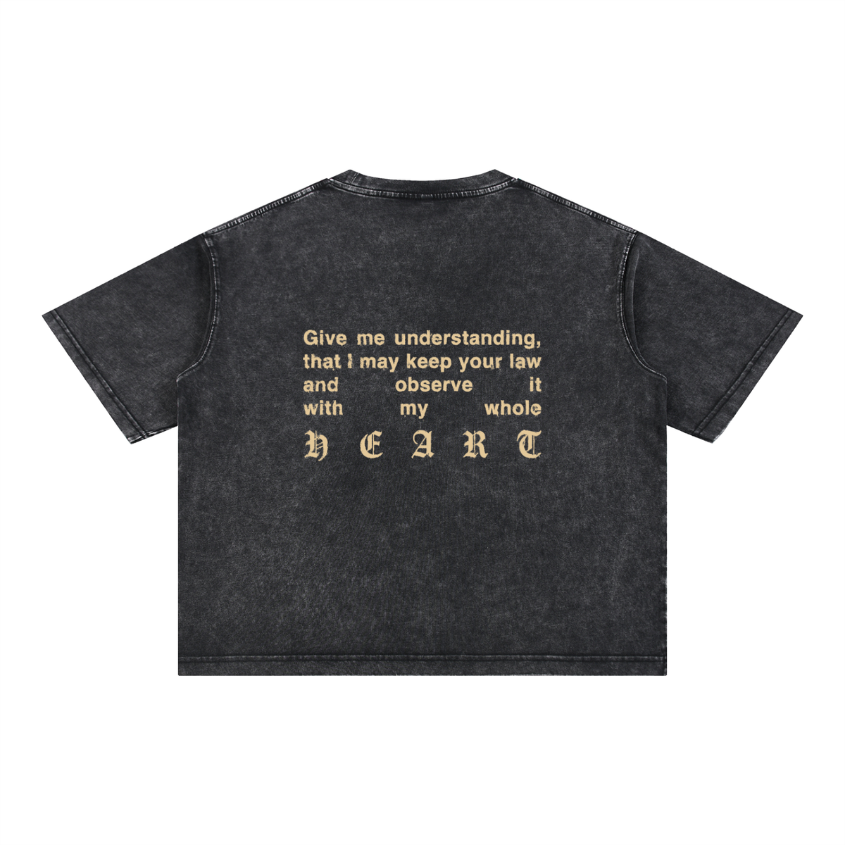 I Got The Word On My Mind boxy cropped tee, stone wash black, photo 4